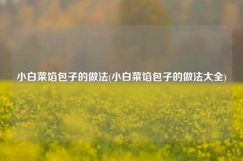 小白菜馅包子的做法(小白菜馅包子的做法大全)