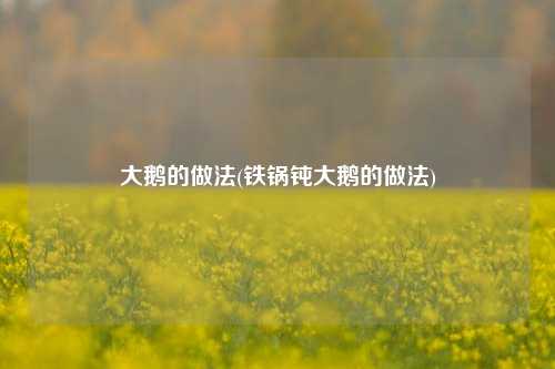 大鹅的做法(铁锅钝大鹅的做法)