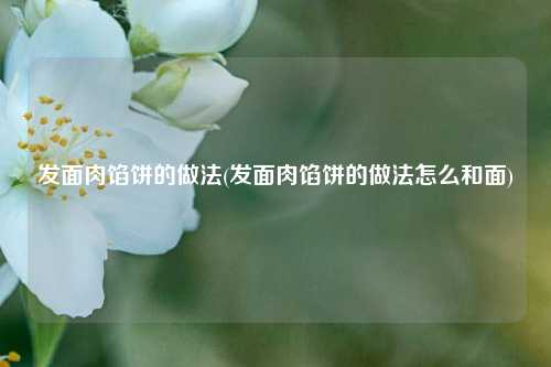 发面肉馅饼的做法(发面肉馅饼的做法怎么和面)