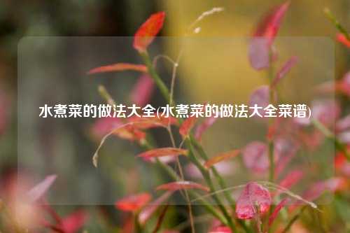 水煮菜的做法大全(水煮菜的做法大全菜谱)