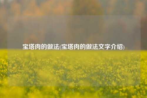 宝塔肉的做法(宝塔肉的做法文字介绍)