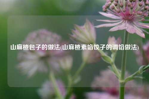 山麻楂包子的做法(山麻楂素馅饺子的调馅做法)
