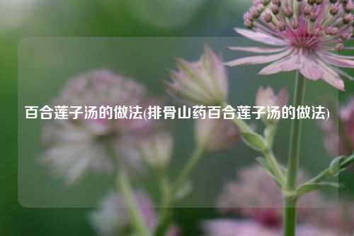 百合莲子汤的做法(排骨山药百合莲子汤的做法)