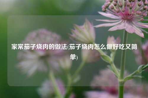家常茄子烧肉的做法(茄子烧肉怎么做好吃又简单)