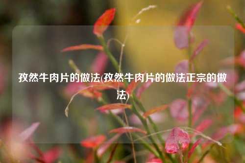 孜然牛肉片的做法(孜然牛肉片的做法正宗的做法)