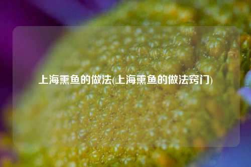 上海熏鱼的做法(上海熏鱼的做法窍门)