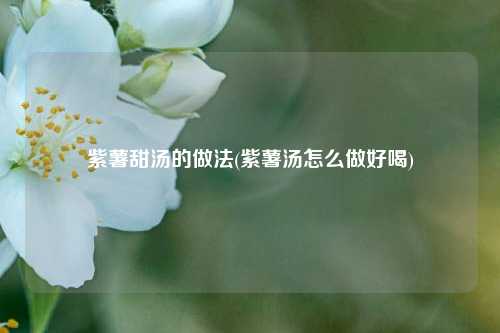 紫薯甜汤的做法(紫薯汤怎么做好喝)