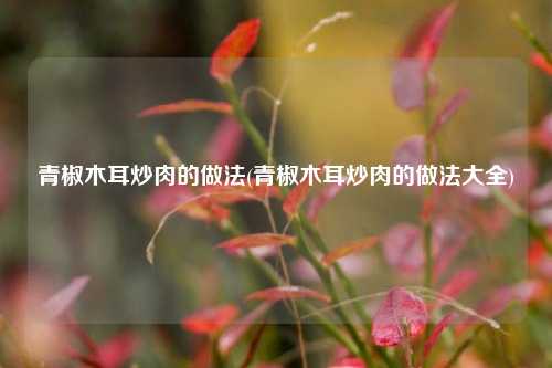 青椒木耳炒肉的做法(青椒木耳炒肉的做法大全)