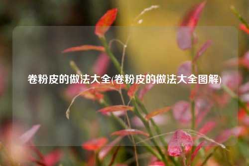 卷粉皮的做法大全(卷粉皮的做法大全图解)