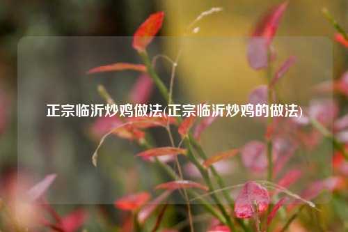 正宗临沂炒鸡做法(正宗临沂炒鸡的做法)