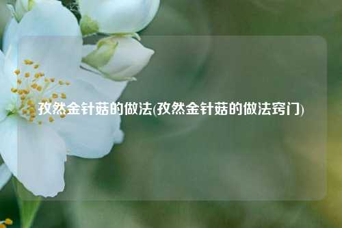 孜然金针菇的做法(孜然金针菇的做法窍门)