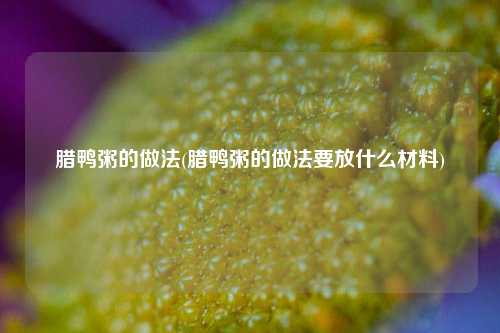 腊鸭粥的做法(腊鸭粥的做法要放什么材料)