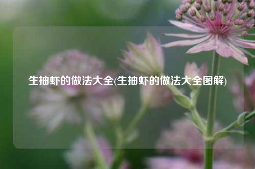 生抽虾的做法大全(生抽虾的做法大全图解)