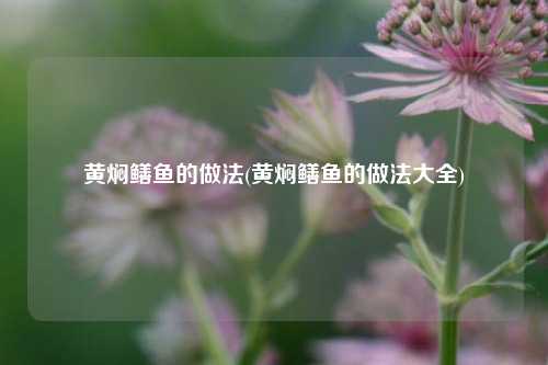 黄焖鳝鱼的做法(黄焖鳝鱼的做法大全)