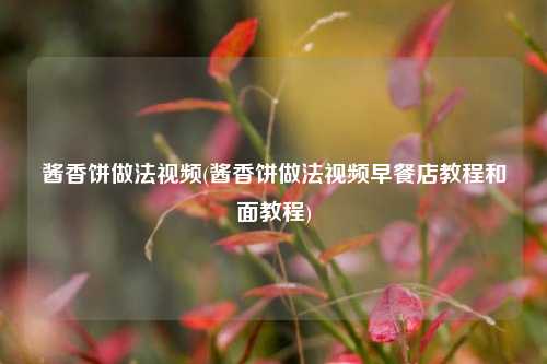 酱香饼做法视频(酱香饼做法视频早餐店教程和面教程)