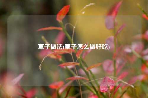 草子做法(草子怎么做好吃)